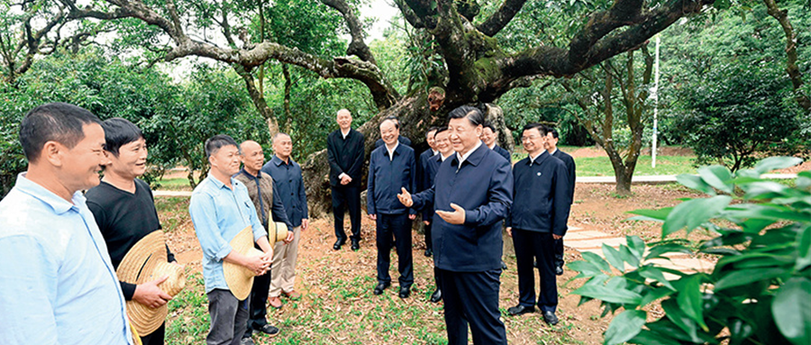 习近平：加快构建新发展格局 把握未来发展主动权